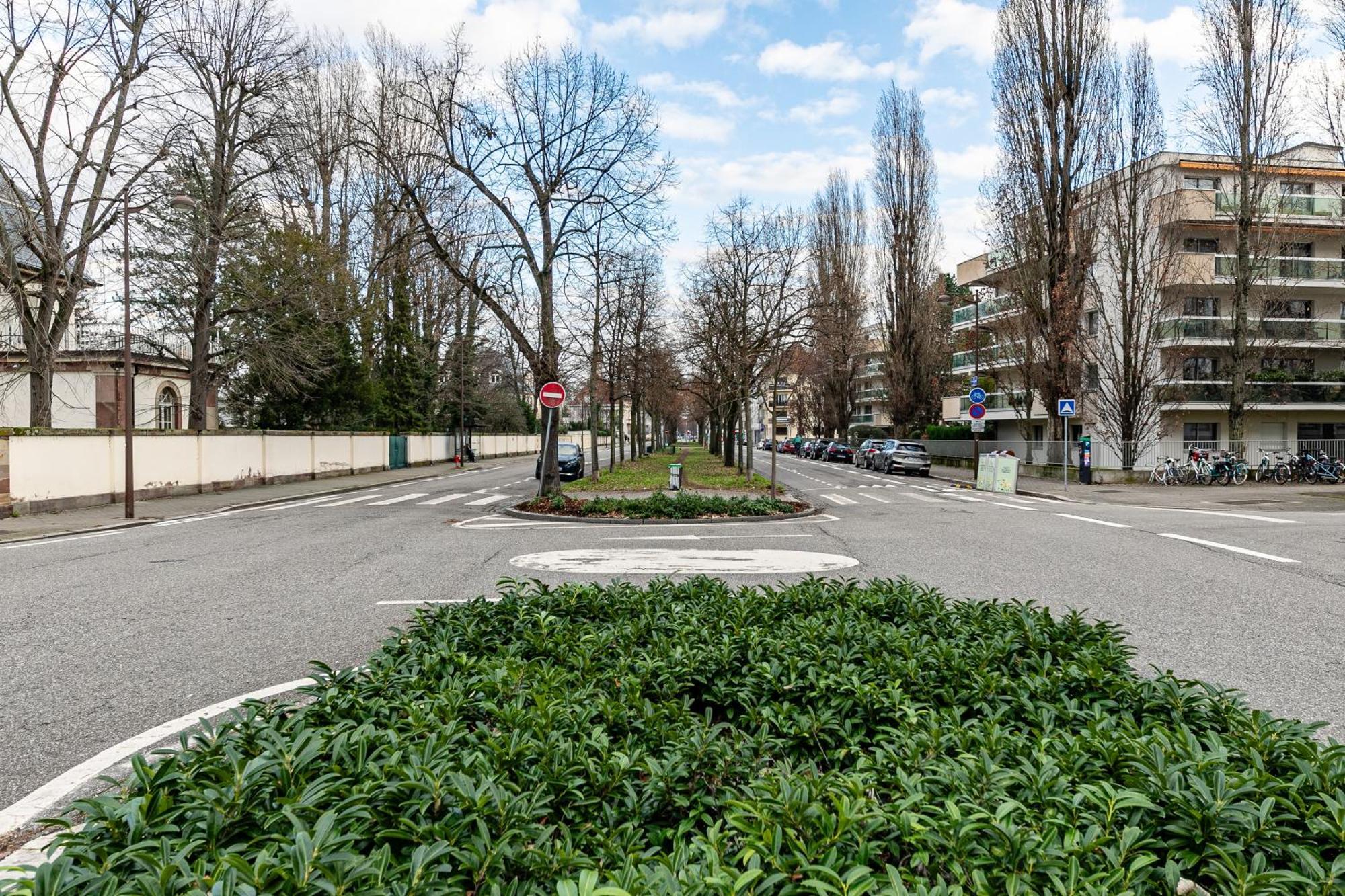 Strasbourg Chaleureux Studio, Orangerie ภายนอก รูปภาพ
